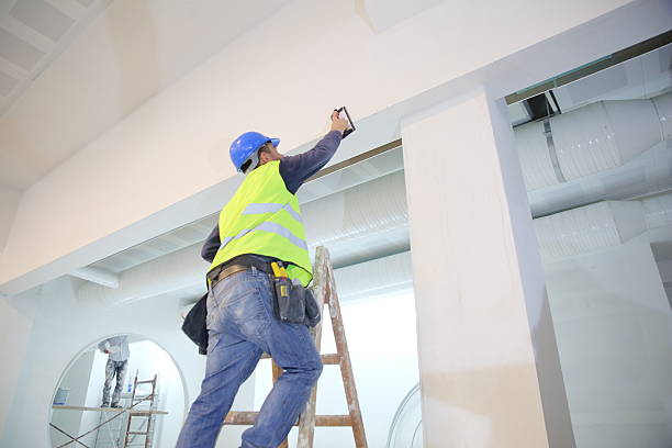 Reliable Berwyn, IL Painting & Drywall Installation Solutions